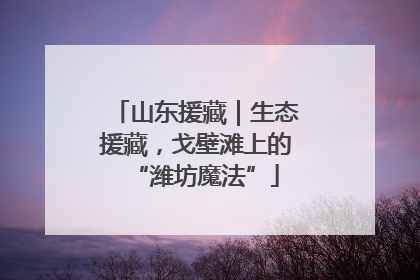 山东援藏｜生态援藏，戈壁滩上的“潍坊魔法”
