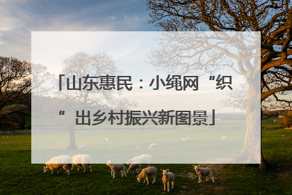 山东惠民：小绳网“织”出乡村振兴新图景