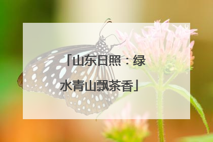 山东日照：绿水青山飘茶香