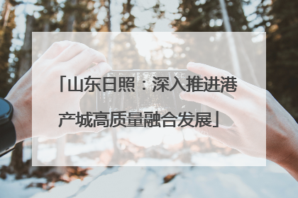 山东日照：深入推进港产城高质量融合发展