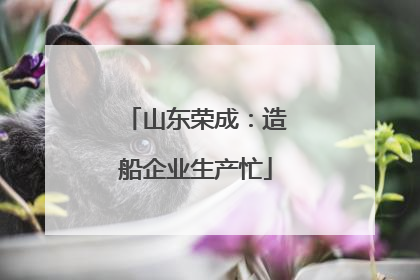 山东荣成：造船企业生产忙