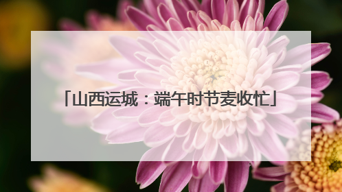 山西运城：端午时节麦收忙