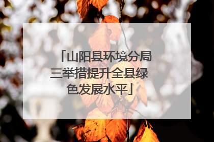 山阳县环境分局三举措提升全县绿色发展水平
