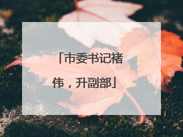 市委书记褚伟，升副部