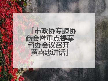 市政协专题协商会暨重点提案督办会议召开 黄喜忠讲话