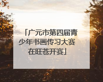 广元市第四届青少年书画传习大赛在旺苍开赛