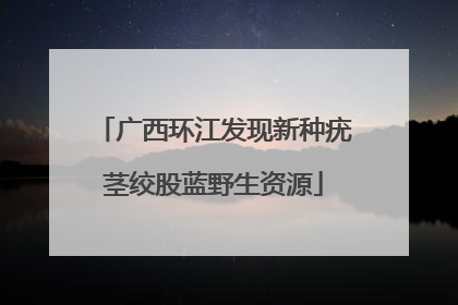 广西环江发现新种疣茎绞股蓝野生资源