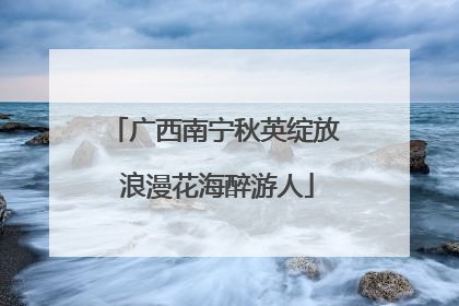广西南宁秋英绽放 浪漫花海醉游人