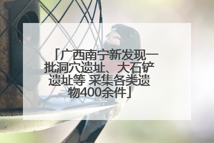 广西南宁新发现一批洞穴遗址、大石铲遗址等 采集各类遗物400余件