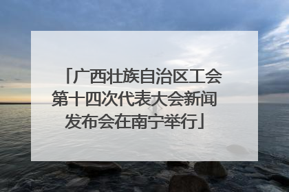 广西壮族自治区工会第十四次代表大会新闻发布会在南宁举行