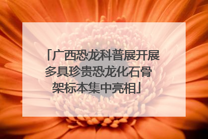 广西恐龙科普展开展 多具珍贵恐龙化石骨架标本集中亮相
