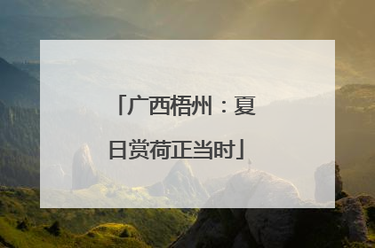 广西梧州：夏日赏荷正当时