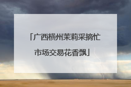 广西横州茉莉采摘忙 市场交易花香飘