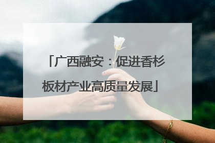广西融安：促进香杉板材产业高质量发展