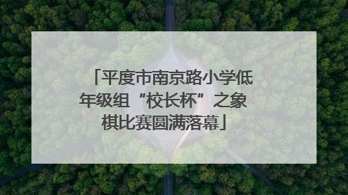 平度市南京路小学低年级组“校长杯”之象棋比赛圆满落幕