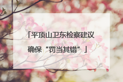 平顶山卫东检察建议确保“罚当其错”