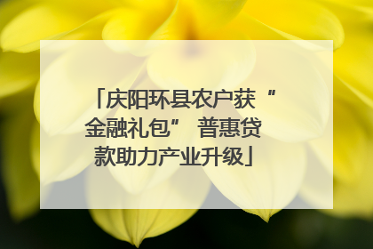 庆阳环县农户获“金融礼包” 普惠贷款助力产业升级