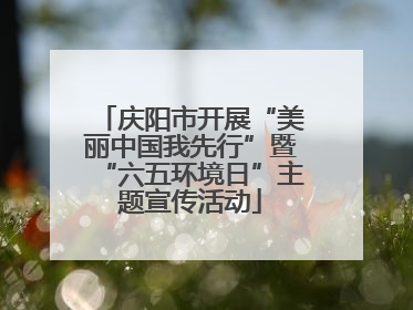 庆阳市开展“美丽中国我先行”暨“六五环境日”主题宣传活动