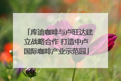 库迪咖啡与卢旺达建立战略合作 打造中卢国际咖啡产业示范园