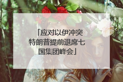 应对以伊冲突 特朗普提前退席七国集团峰会