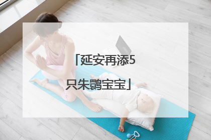延安再添5只朱鹮宝宝