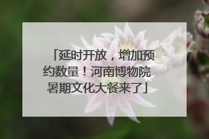 延时开放，增加预约数量！河南博物院暑期文化大餐来了
