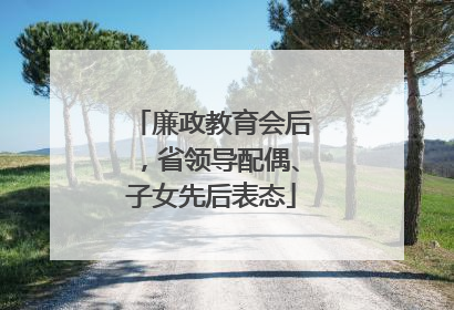 廉政教育会后，省领导配偶、子女先后表态