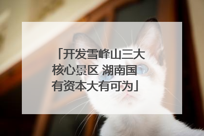 开发雪峰山三大核心景区 湖南国有资本大有可为
