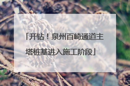 开钻！泉州百崎通道主塔桩基进入施工阶段