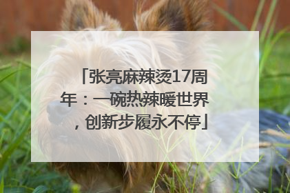 张亮麻辣烫17周年：一碗热辣暖世界，创新步履永不停