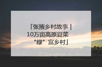 张掖乡村故事｜10万亩高原夏菜“绿”富乡村