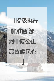 提级执行解难题 漯河中院公正高效暖民心