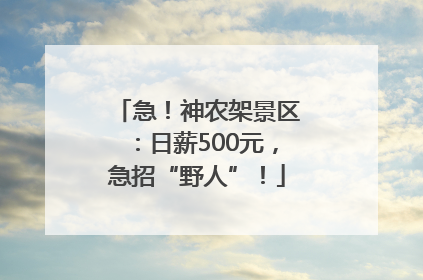 急！神农架景区：日薪500元，急招“野人”！