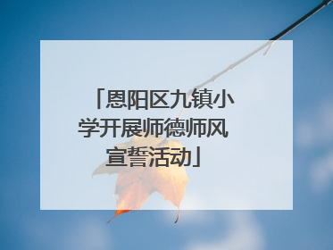 恩阳区九镇小学开展师德师风宣誓活动