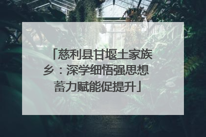 慈利县甘堰土家族乡：深学细悟强思想 蓄力赋能促提升