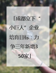 成都立下“小巨人”企业培育目标：力争三年新增350家