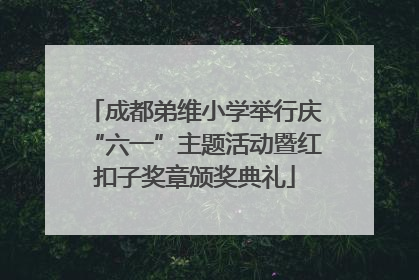 成都弟维小学举行庆“六一”主题活动暨红扣子奖章颁奖典礼