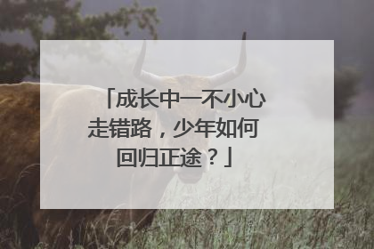 成长中一不小心走错路，少年如何回归正途？