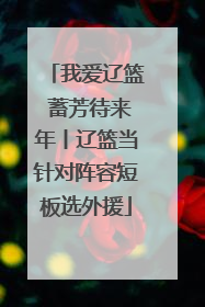 我爱辽篮 蓄芳待来年丨辽篮当针对阵容短板选外援
