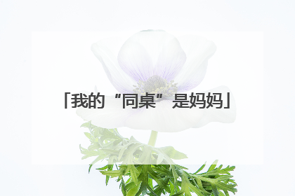 我的“同桌”是妈妈