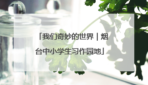 我们奇妙的世界｜烟台中小学生习作园地