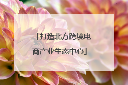 打造北方跨境电商产业生态中心