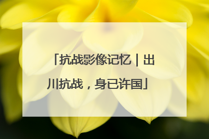 抗战影像记忆｜出川抗战，身已许国