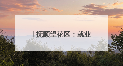 抚顺望花区：就业服务“出圈” 居民幸福“加码”