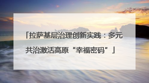 拉萨基层治理创新实践：多元共治激活高原“幸福密码”
