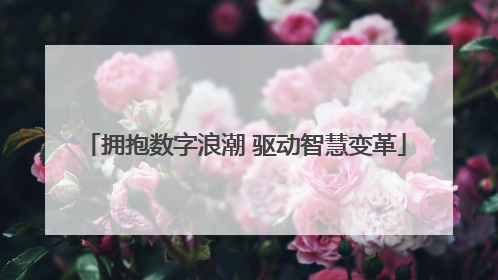 拥抱数字浪潮 驱动智慧变革