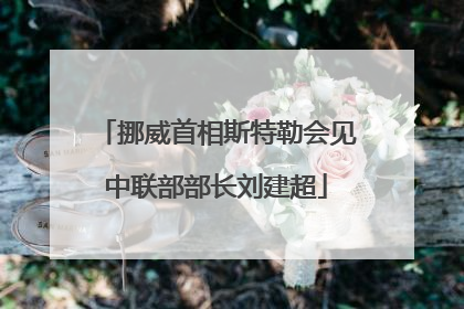 挪威首相斯特勒会见中联部部长刘建超