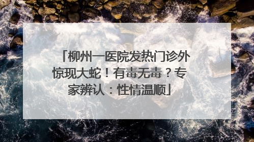 柳州一医院发热门诊外惊现大蛇！有毒无毒？专家辨认：性情温顺