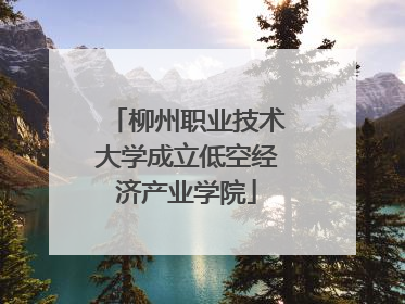 柳州职业技术大学成立低空经济产业学院