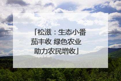 松滋：生态小番茄丰收 绿色农业助力农民增收